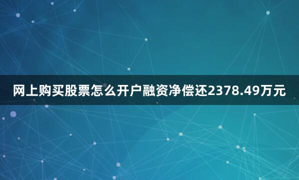 网上购买股票怎么开户融资净偿还2378.49万元