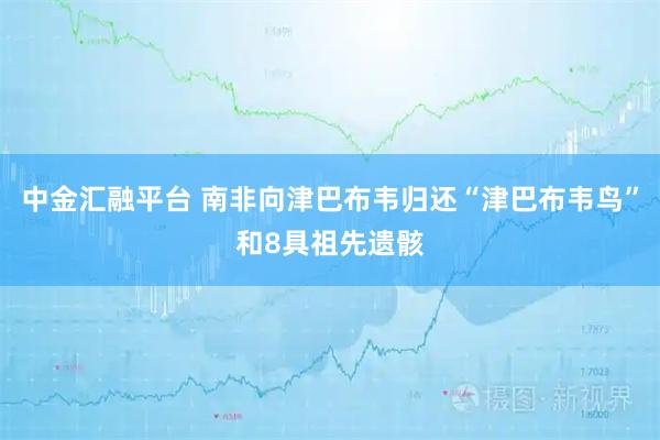 中金汇融平台 南非向津巴布韦归还“津巴布韦鸟”和8具祖先遗骸